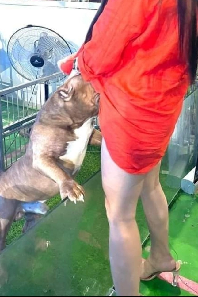 길바닥 사고