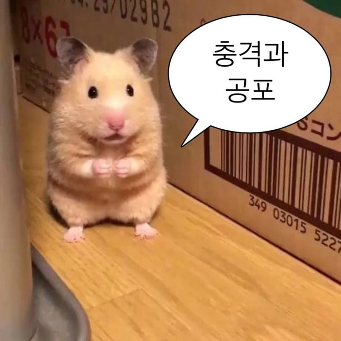 하노이 여행 후기 2편