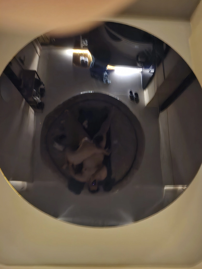2개월만의 방벳 복귀