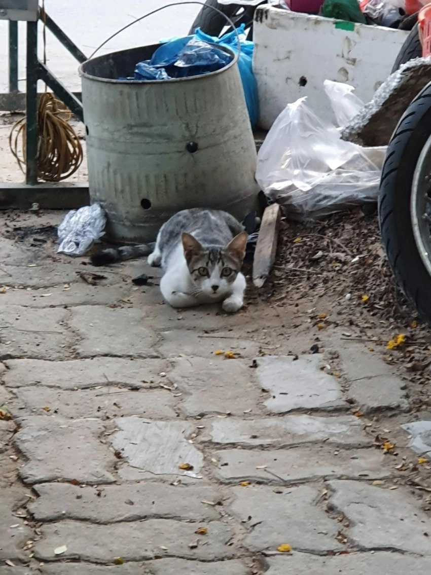 후에 여행 팁