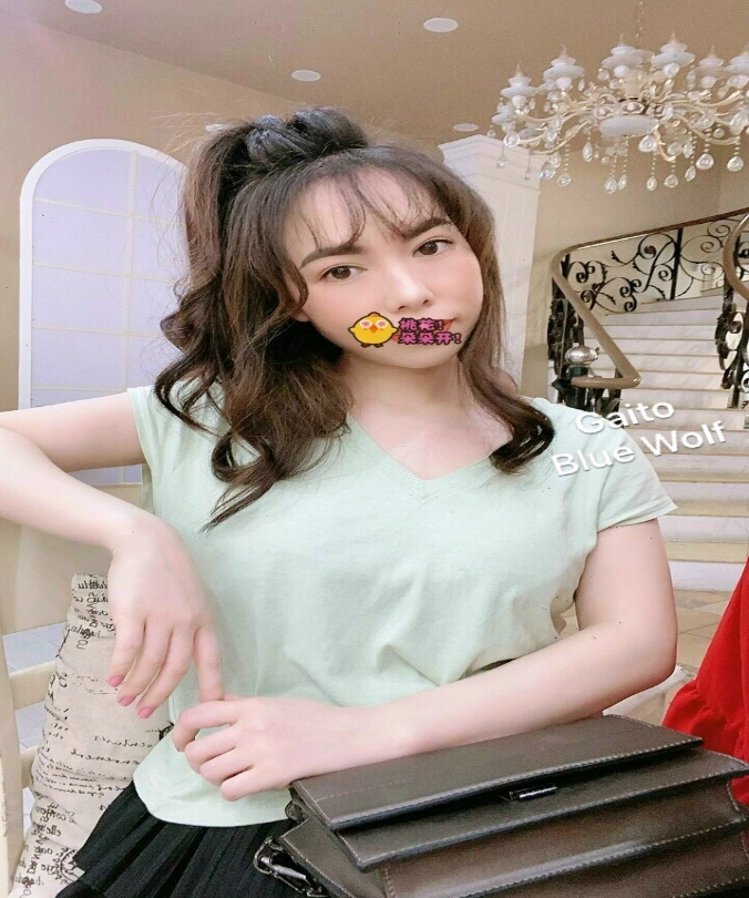 [호치민 가이고이]
