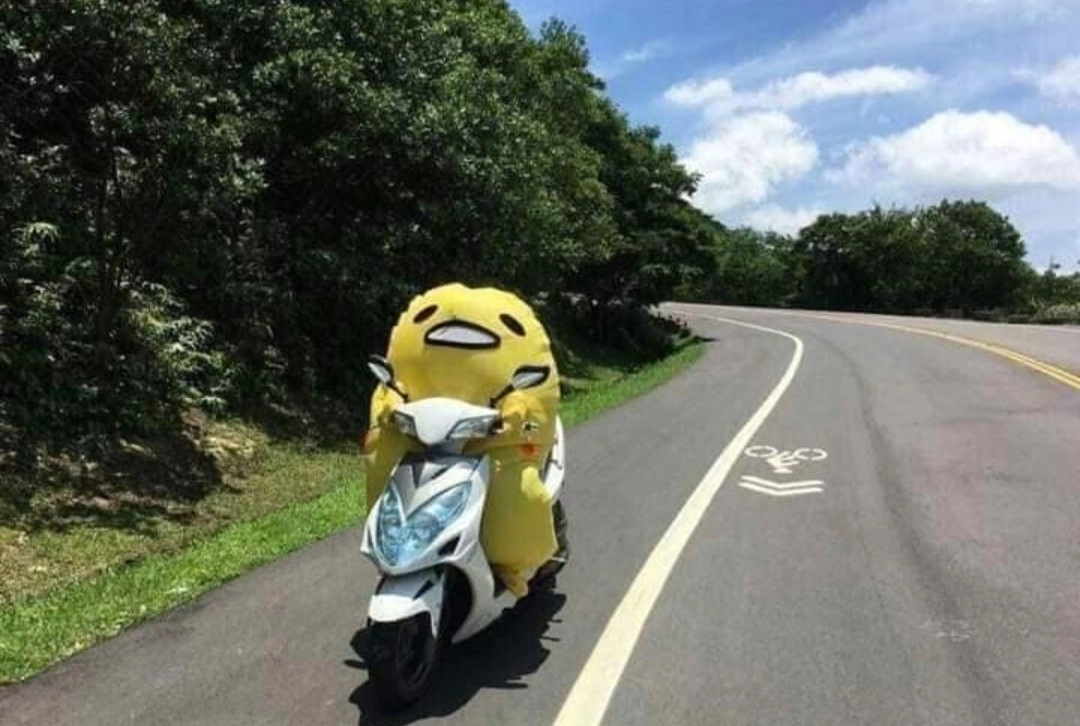 몬스터와 레이스